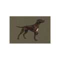 French Pointer Dog Outdoor Rug — Durable Patio Doormat for Dog Lovers