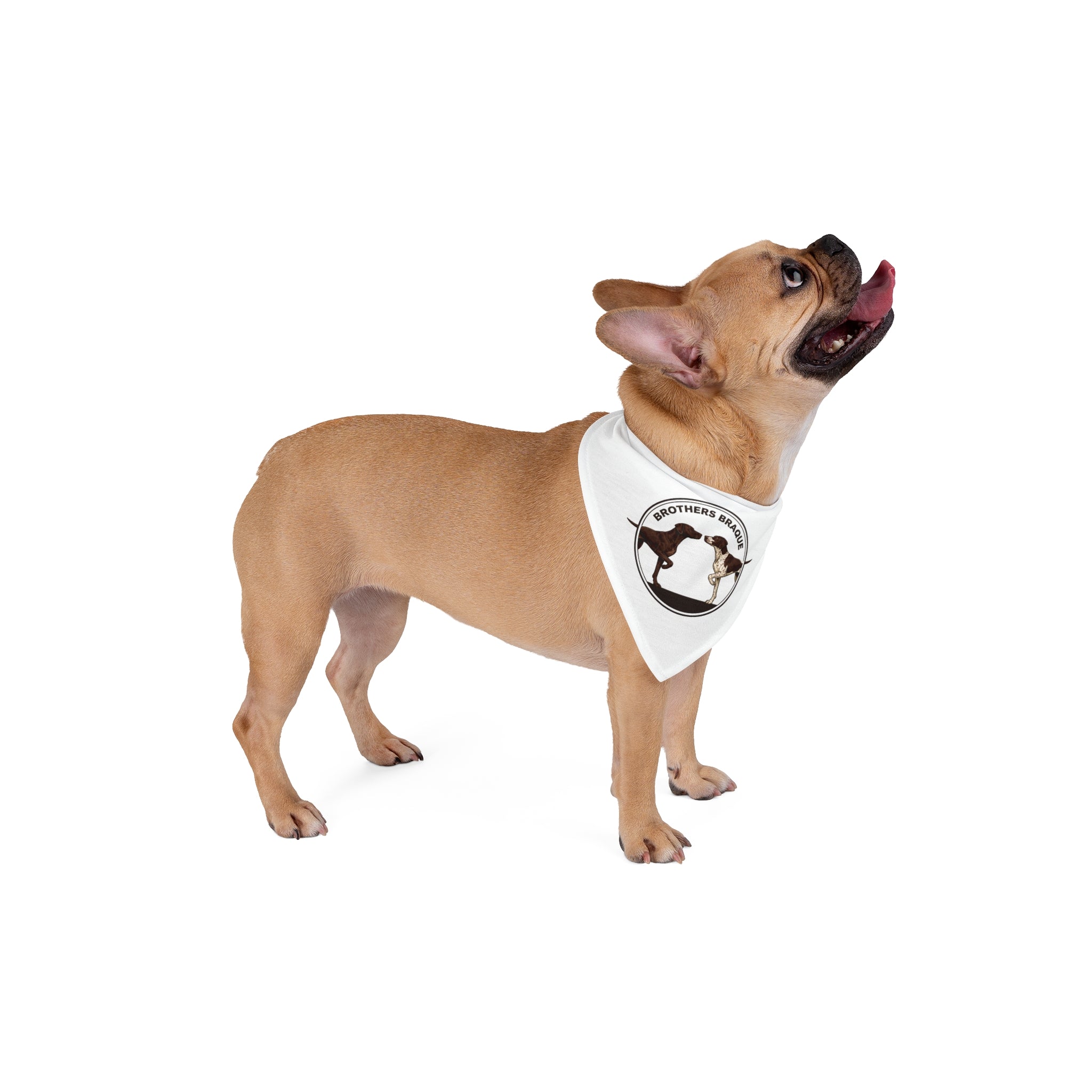 Pet Bandana — 'Brothers Braque' Dog Bandana